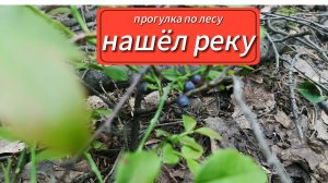 Пошел в лес нашел реку