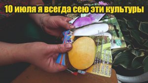 Эти культуры нужно срочно посеять в начале июля