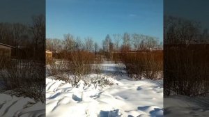 95dc74c2-5698-4a33-bbe4-f2e48b7f5996-1_all_527.mp4