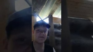 новая база