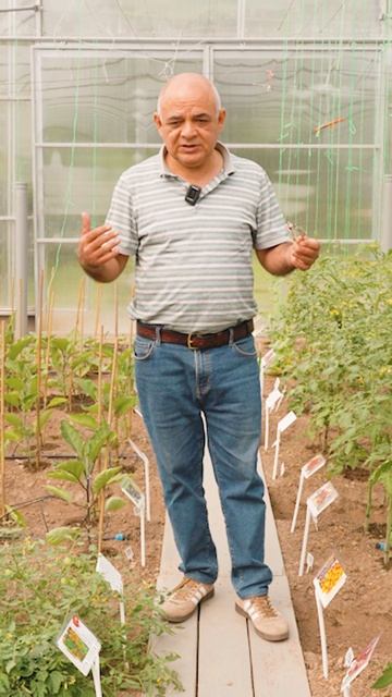 Это важно для растений!🍅🍆🫑 смотреть онлайн