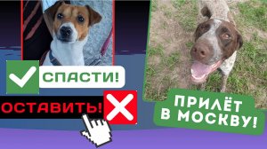 Заразный вирус… Новости!