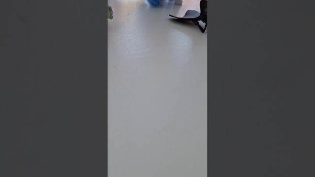 Жизнь пони.