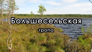 Поход к "Мертвому" озеру. Большесельская тропа в Ярославской области.