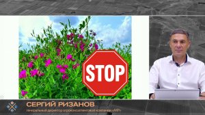 Чина клубненосная: как избавиться от сорняка в посевах сои | Сергий Ризанов | Агроном