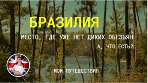Бразилия - там, где нет уже диких обезьян.