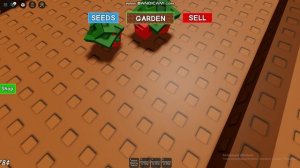 Играю в : Вырасти Сад [ ROBLOX ] ( Прочитайте Описание )