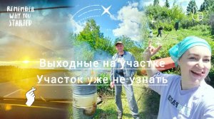 ПРЕОБРАЖЕНИЕ НАШЕЙ ДАЧИ ЕЁ УЖЕ НЕ УЗНАТЬ, НОВЫЙ САДОВЫЙ ИНСТРУМЕНТ, НАЧАЛИ РЕМОНТ В ВАГОНЧИКЕ