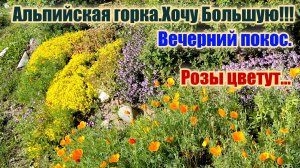 Мои цветочно-огородные будни.Розы для вас..