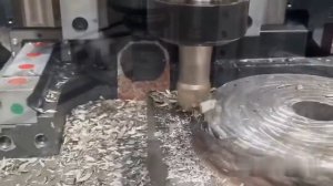 LAGUN video