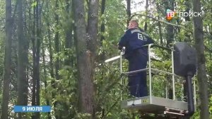 В округе устраняют последствия урагана