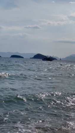 IMG_1253
