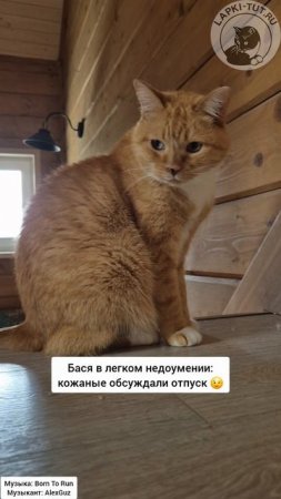 мини отпуск