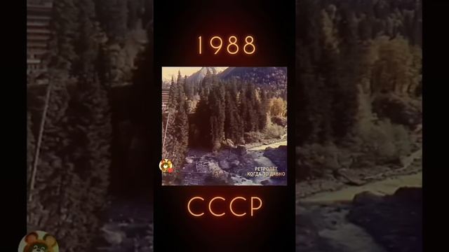 1000053714.mp4