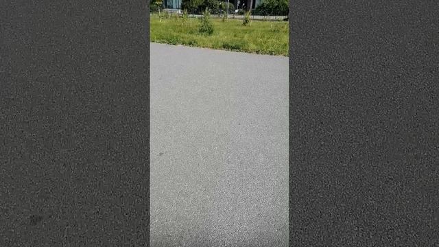 Пляжное настроение на пр. Петергофском