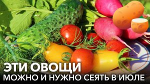 Что можно посадить в июле и собрать урожай