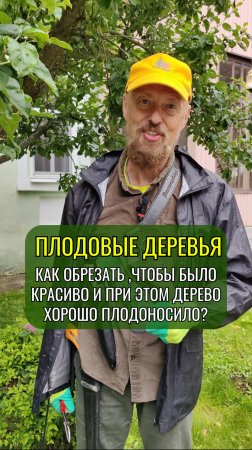 Как обрезать плодовые деревья, чтобы было красиво и при этом дерево хорошо плодоносило? #сад