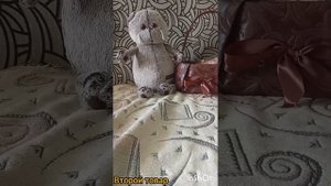 Что нужно для маленького Басика? 🤔 видео с Басиком 🤗 у нас будет новый Басик или Лили?...