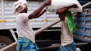 В Россию могут приехать 1 млн трудовых мигрантов из Индии до конца года.