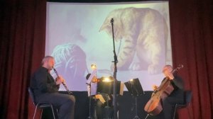 Трио «Ощущения» Trio Sensations Р.Гальяно R.Galliano Домашний кот A House Cat