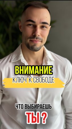Внимание- ключ к свободе от иллюзии мира.