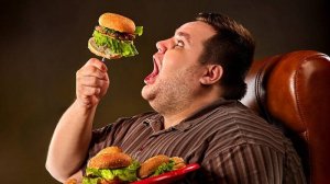 🍔 Почему мы все толстеем — и никто ничего не делает