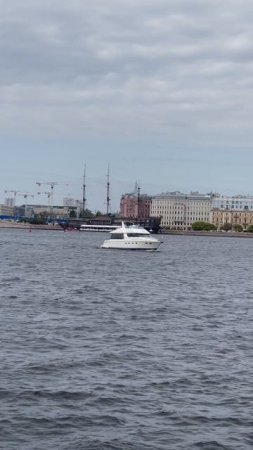IMG_8018