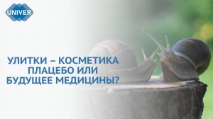 УЛИТКИ: СКРЫТАЯ ОПАСНОСТЬ И УДИВИТЕЛЬНЫЕ КОСМЕТИЧЕСКИЕ СВОЙСТВА