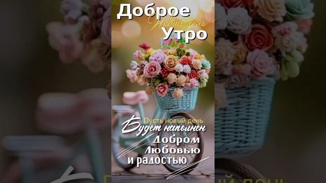 Доброе утро!🌄