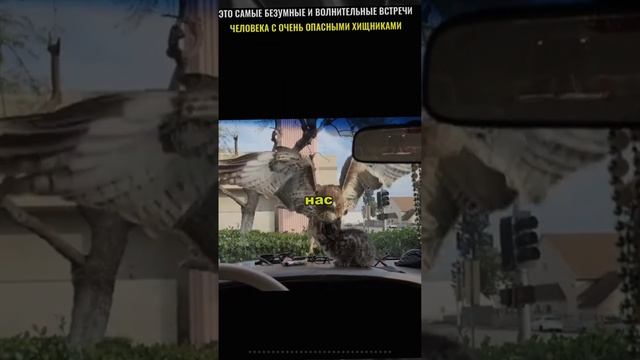 Это встречи с животными они не забудут никогда