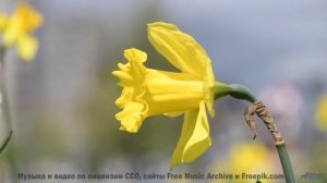 Музыка, которая делает каждый поворот маршрута поцелуем судьбы - Righteous -- Ketsa -- Growth