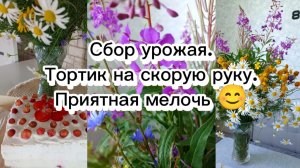 09-07-2025Сбор урожая.Тортик на скорую руку.Приятная мелочь 😊