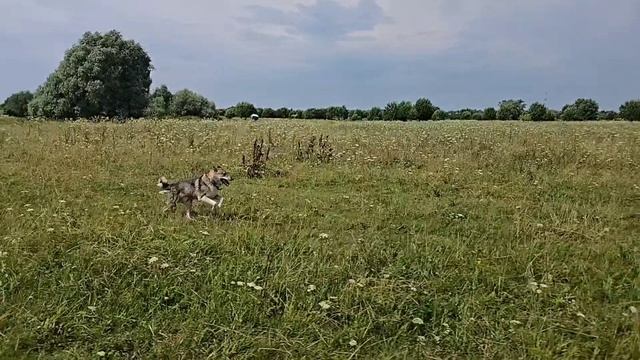 С Каюром к реке