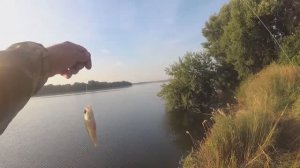 Спецзаказ на окуня! 
Бывает и такая ловля!