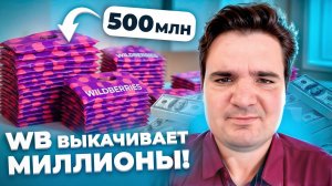 Как ВЫЖИТЬ на Wildberries в 2025? Разоблачение ТОП-схем и скрытых ниш