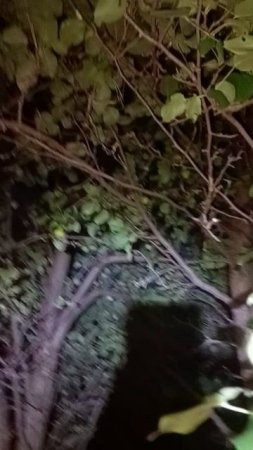 1000685153.mp4