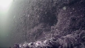1000046146.mp4Волга гл.5м.09.07.2025г.
