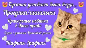 😻 Бусюша везде все успевает 😻