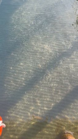 IMG_4131