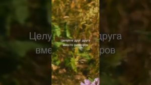Любите друг друга.mp4