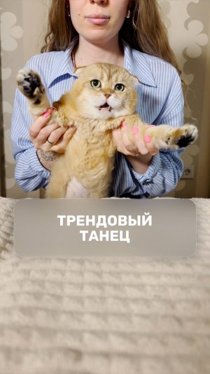 Трендовый танец