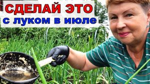 Сыплю это под лук и поливаю осиной. Бабушка так наказывала делать