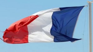 Во Франции признали банкротами рекордное число компаний в 2024 году.