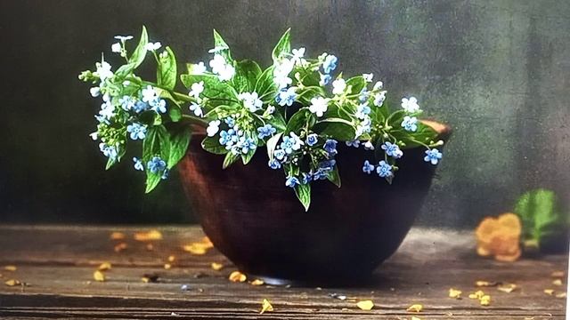 НезаБУДКА  домашняя - ге виноватая она ...Виноватая Сплетница ..