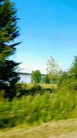 🌲🌳🍀🌻🌾💕для души 🤗