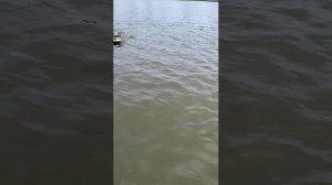 Прикормочный кораблик FISHING HERO.