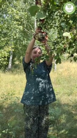 На нашей планете созрела ирга! 🍒🍃