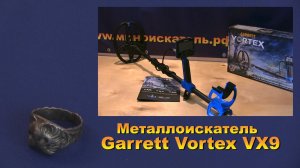 Металлоискатель Garrett Vortex VX9