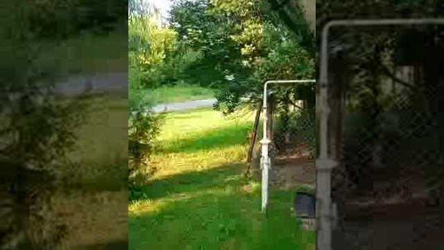 Массовая травля