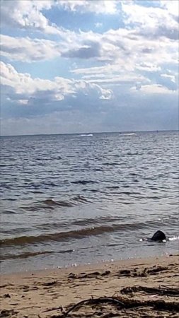 Финский залив. #сезонконтентаRUTUBE